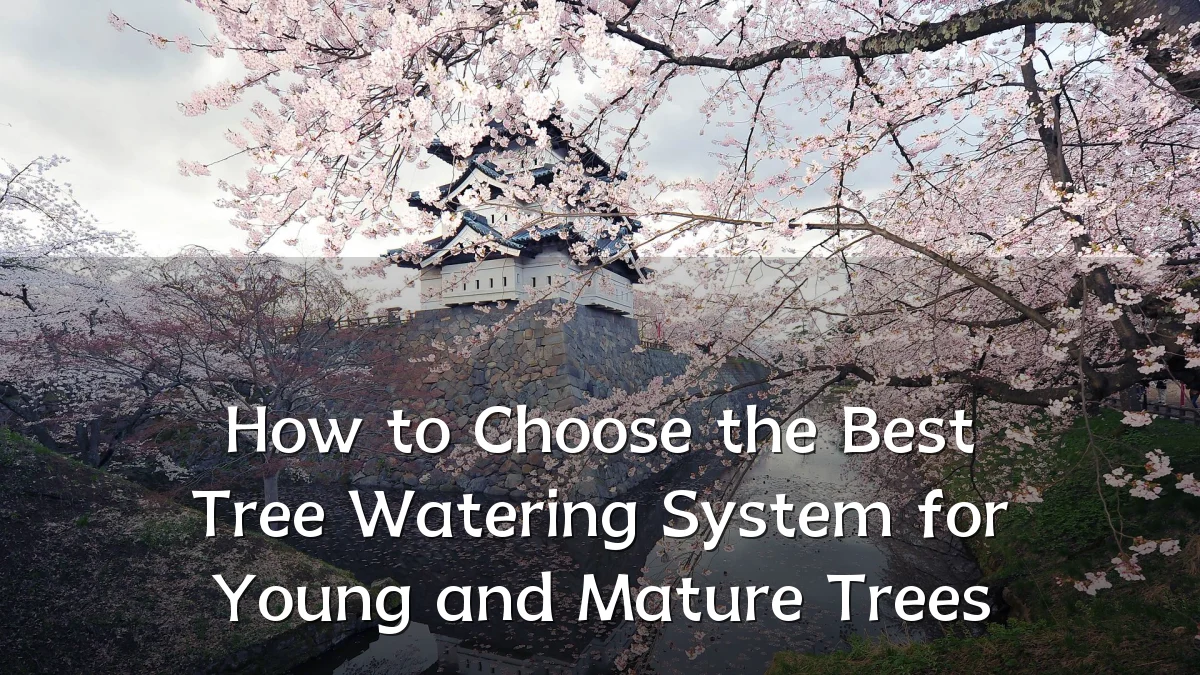 How to Choose the Best Tree Watering System for Young and Mature Trees