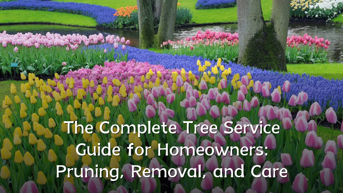 The Complete Tree Service Guide for Homeowners: Pruning, Removal, and Care